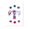thumbnail image 1 of Arte de mujer embarazada, pintura de diamantes 5D, mosaico de diamantes, punto de cruz, Doctor, regalo de obstetricia, arte de acuarela de desarrollo de Embryo, 1 of 4
