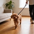 thumbnail image 5 of RKSTN Pet Leash P Rope Black L, 5 of 5