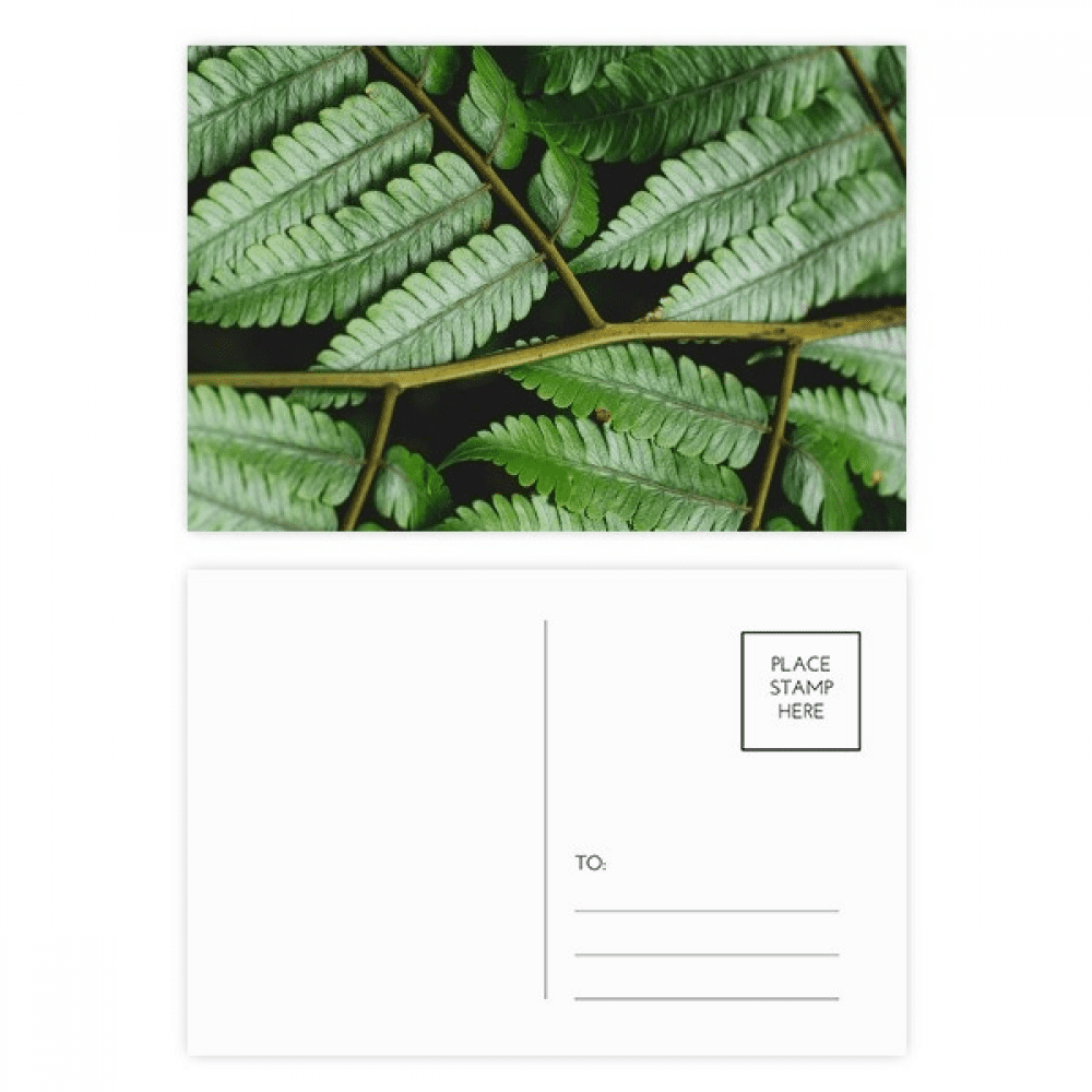 nature photography postcard set birthday mailing thanks greeting card