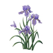 Purple Iris - Large - Flowers - Iron on Applique/Embroidered Patch