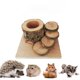 thumbnail image 1 of Juguete de escalera de escalada para hámster enano, plataforma de animales pequeños de madera de fruta Natural con cuencos de alimentación, 1 of 4
