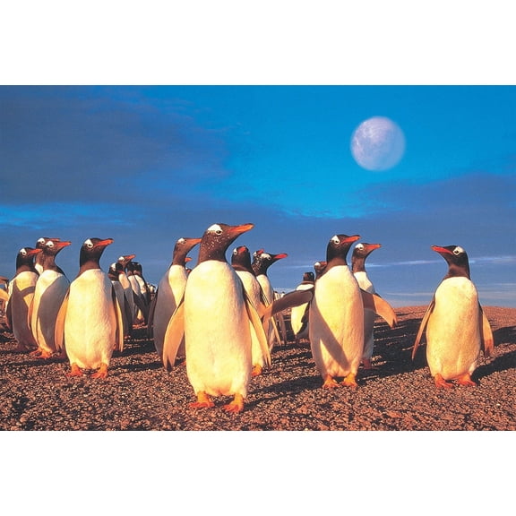 Tomax 100-130 Penguin World 1000 Piece Puzzle