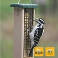 thumbnail image 6 of Birds Choice SNDSF Suet Feeder for Two Suet Cakes in Taupe and Green Recycled Poly-Lumber (Feeder Only), 6 of 9