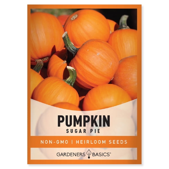 Sugar Pie Pumpkin Seeds