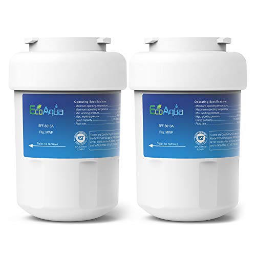 GE Compatible Water Filter for MWF GWF HWF 469991 WSG1 WF287 EFF