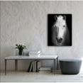 thumbnail image 3 of White Horse Face Photography Canvas Art, 3 of 4