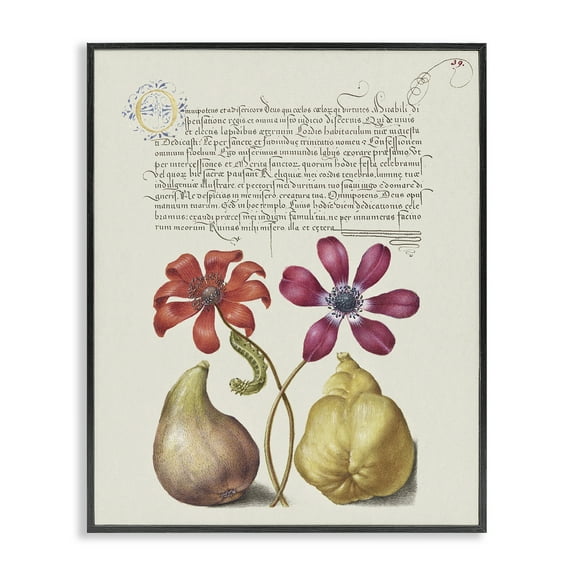 Stupell Industries Vintage Nature Page Text & Numbers Painting Black Framed Art Print Wall Art, 11 x 14