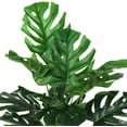 thumbnail image 4 of Plantas artificiales, hojas de árbol de tortuga falsas de 21 "de alto con tallos, hoja de palma sintética, hoja de fronda de imitación, plantas tropicales, vegetación floral, 4 of 5