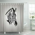 thumbnail image 1 of ABPHQTO Zebra Vector Safari Zoo Print Leopard Africa Pattern Cortina de ducha 150x180 cm, 1 of 1