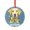 Pattern, variant on Cute Gray And White Havanese Dog in Snow Xmas Ornament Dog in Santa Hat Snowflake Crystal Glass Christmas Decor with Holiday Design Appreciation Gift for Xmas Friend Bestie Nurse Teacher