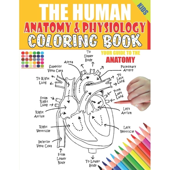 The Human Anatomy and Physiology Coloring Book: 50  illustrations in an Activity coloring book for kids and teens, Great, (Paperback)