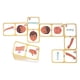 thumbnail image 1 of Dominó Partes Del Cuerpo Humano Educatodo J-0115, 1 of 2