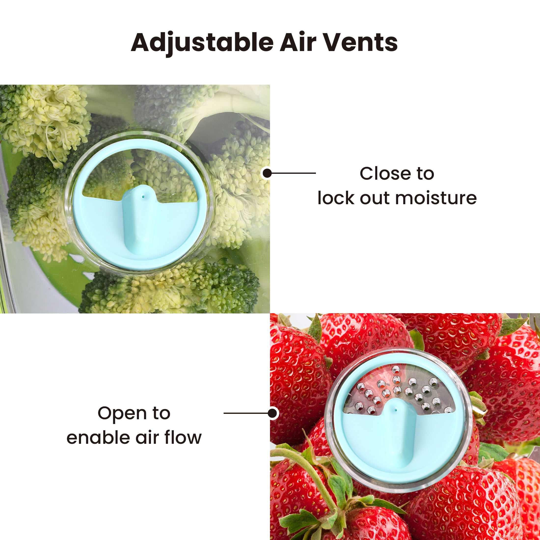 Felli Fresh Produce Keeper Container with Removable Drainage Valve, 3 Count