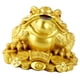 thumbnail image 1 of Oro Feng Shui Chino Decoración Dinero Sapo Moneda Rana Estatuilla - # 6 .5x6cm Oro Sunnimix Decoración de Feng Shui chino, 1 of 5