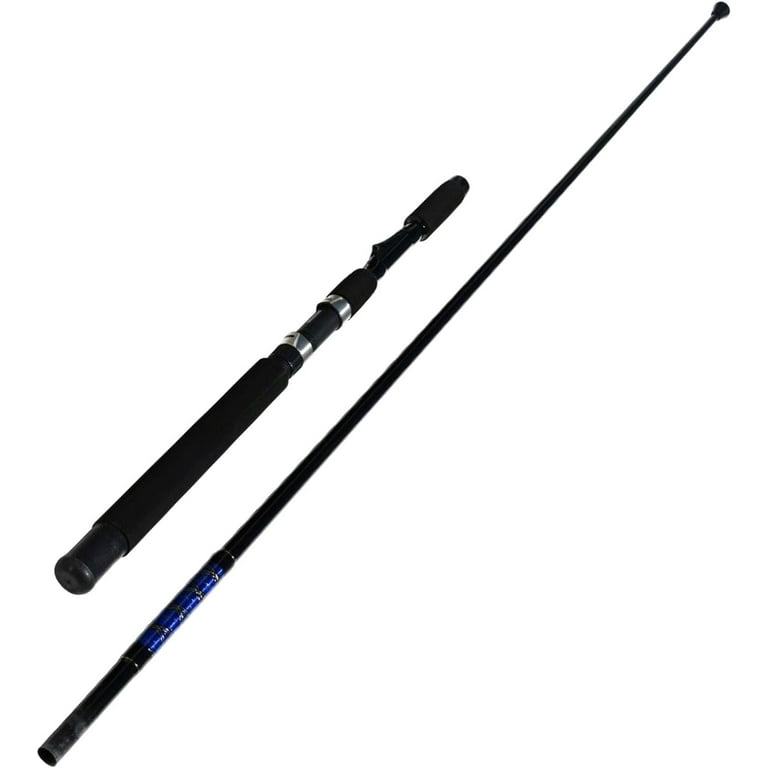 Sabiki Bait Fishing Rod With Rig 