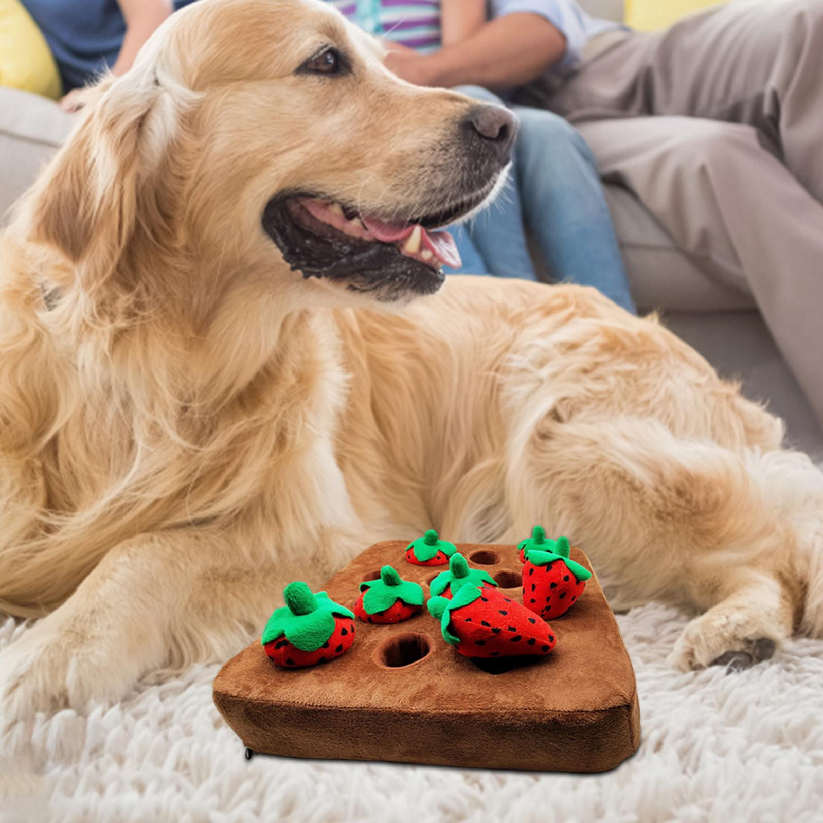 Strawberry Enrichment Dog Puzzle Toys, Hide and Seek Dog Toys, Dog Sniff Mat for