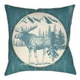 thumbnail image 7 of Indoor Outdoor LGCB2025-2222 Square 22" x 22" Pillow Cover + Polyfill, 7 of 7