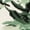 Green/Ivory, variant on SAFAVIEH Fifth Avenue Deborah Abstract Area Rug, Beige/Brown, 5' x 8'
