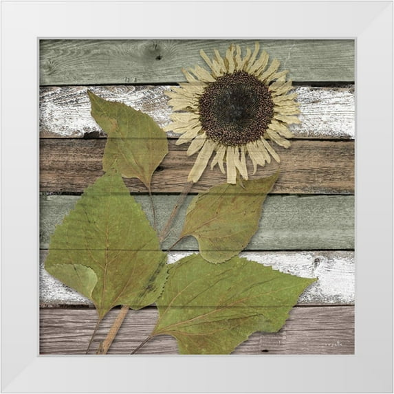 Sophie 6 15x15 White Modern Wood Framed Museum Art Print Titled - Sunwood I