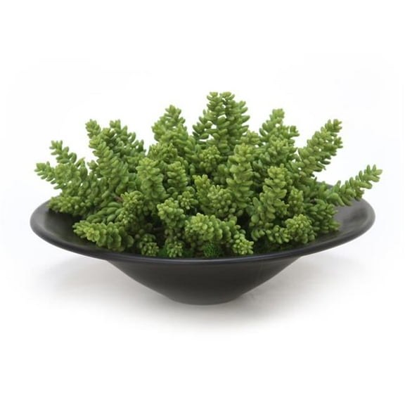 Disttive Designs 2957A Unisex Succulents Garden in Round Bowl - Green