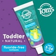 thumbnail image 2 of Tom's of Maine Fluoride-Free Toddler Training Toothpaste, Mild Fruit, 1.75 oz. 3-Pack (Packaging May Vary) C35, 2 of 3