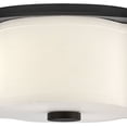 thumbnail image 4 of Hinkley Lighting - Delaney - 14W 2 LED Medium Flush Mount In Traditional, 4 of 8