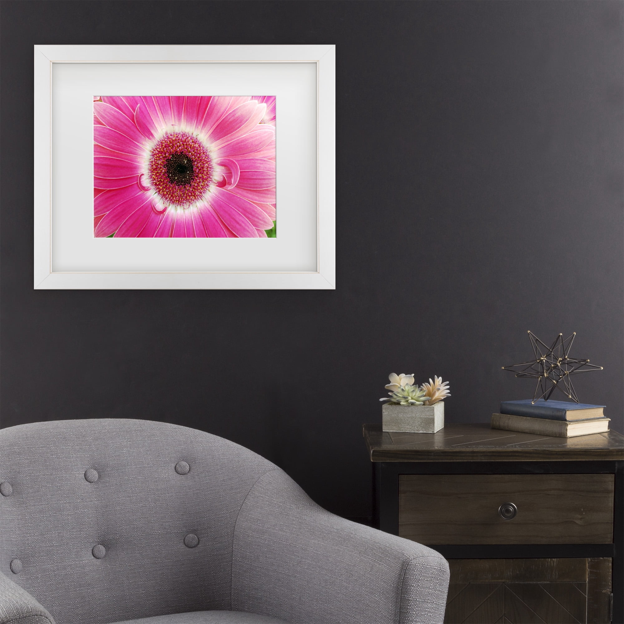 Trademark Fine Art 'Pink Gerber' Canvas Art by Kurt Shaffer
