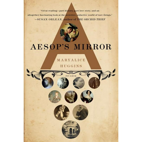 Aesop's Mirror: A Love Story, (Paperback)