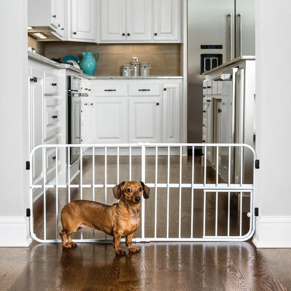 Carlson Pet Products Mini Tuffy Metal Pet Gate, 38" W x 18" H, Includes Small Pet Door, White