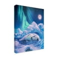 thumbnail image 2 of Trademark Fine Art 'Harmony Baby Seals' Canvas Art by Kirk Reinert, 2 of 3