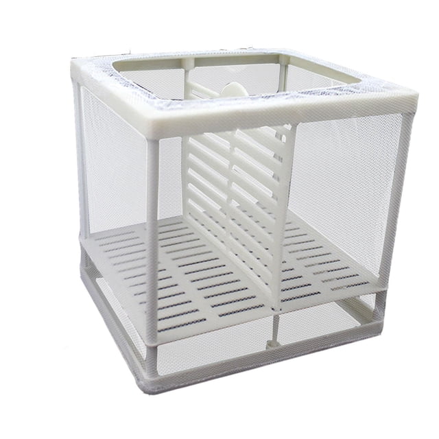 Red de aislamiento para peceras, contenedor de alimentación para peces, divisor de Acuario, caja de aislamiento para incubadora de peces, guppy, peces S con tablilla