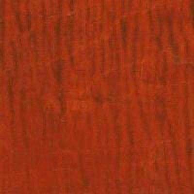 TransTint Dark Walnut Wood Dye - Special Price: $19.80