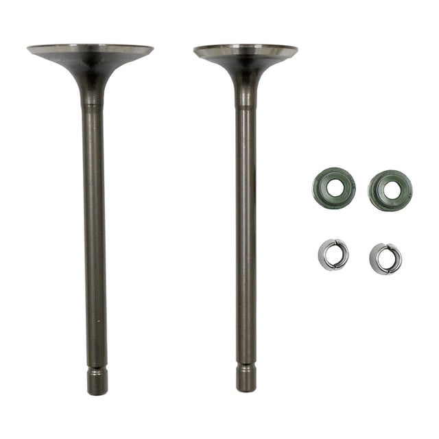 Valvula Admision/Escape Set Vento Crossmax 200 (20-21) (Wstd)