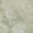 Aloe, variant on Addison Rugs Mayfield Premium Machine Washable Transitional Floral Orange Rectangle Rug, 10' x 14'