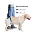 thumbnail image 3 of Dragonus Dog Dysplasia Lift Harness Mobility Rehabilitation Sling Support Aid Assist, 3 of 5