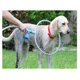 thumbnail image 5 of Boquilla de baño para perros y mascotas, masajeador de baño de belleza limpio de verano con agua de 360 ​​grados ER, 5 of 5