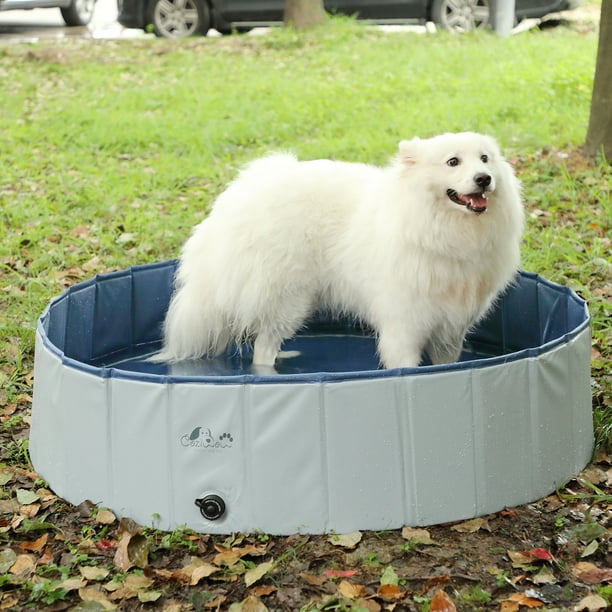 kiddie pool for puppies