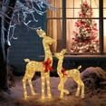 thumbnail image 5 of SalonMore Set of 2 Golden Deer Family with 210 LEDs Warm White Lights, Light Up Glittered Standing Reindeer Family for Xmas Lighted Holiday, 5 of 7