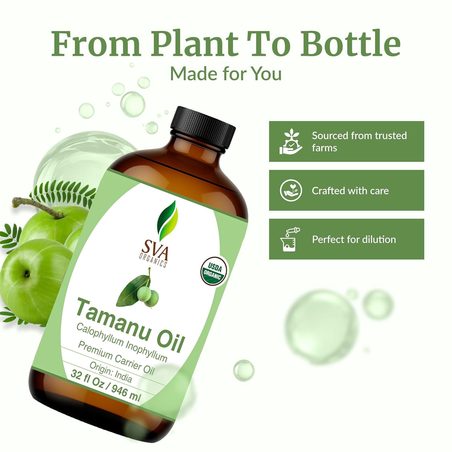 SVA Tamanu Seed Oil Organic - 32 fl oz – 100% Natural Cold Pressed Tamanu Oil - for Face, Skin Care, Hair Care, Scalp Massage & Body Massage – Carrier Oil