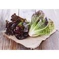 thumbnail image 4 of Red Romaine Lettuce Seeds for Planting, 1000+ Heirloom Seeds Per Packet, (Isla's Garden Seeds), Non GMO Seeds, Botanical Name: Lactuca Sativa, Great Gift for Home Garden, 4 of 9
