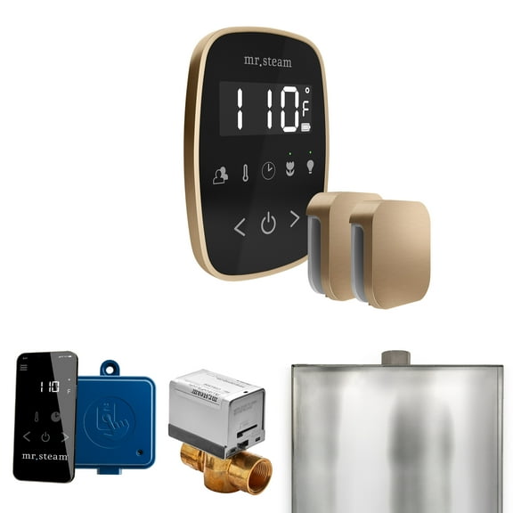 Mr Steam ButlerFlex Max Steam Shower Pkg w/TempoFlex Control and Steamhead in Black Brushed Bronze