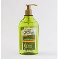 thumbnail image 1 of DALAN D'OLIVE Moisturizing Hand Wash 300ml Energizing 12/Pack, 1 of 1