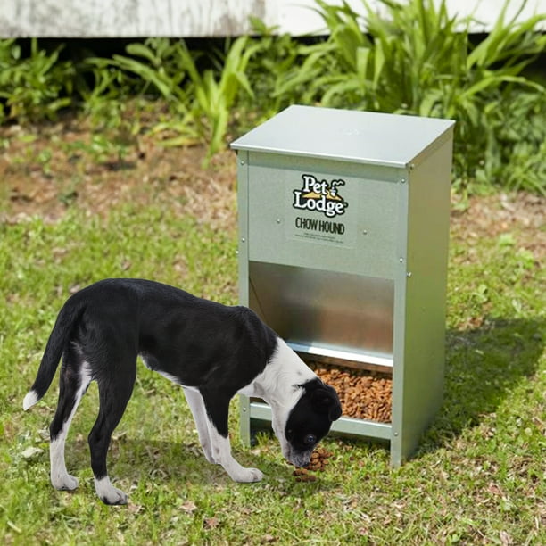 Miller Chow Hound Pet Feeder