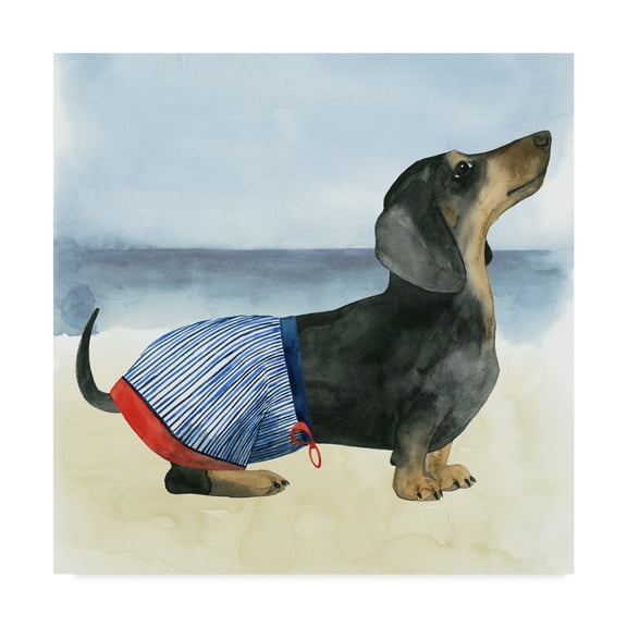Trademark Fine Art 'Hot Dog IV' Canvas Art by Grace Popp