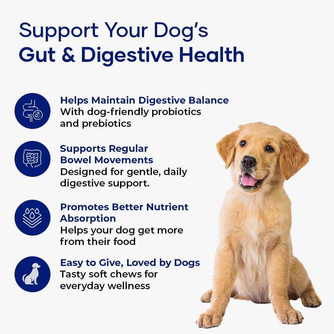 Aniwell Probiotics Chews for Digestive Health: Powered by Mixed Tocopherols, Supports Gut Health, Digestive Balance & Allergy Relief - Soft Chews | Pack of 3