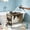 Khaki, variant on Detachable Grooming Station for Cat Dog, Multi-use Pet Grooming Bed for Pet Bathing, Nail and Hair Trimming, Stable Structure,60x33x40cm