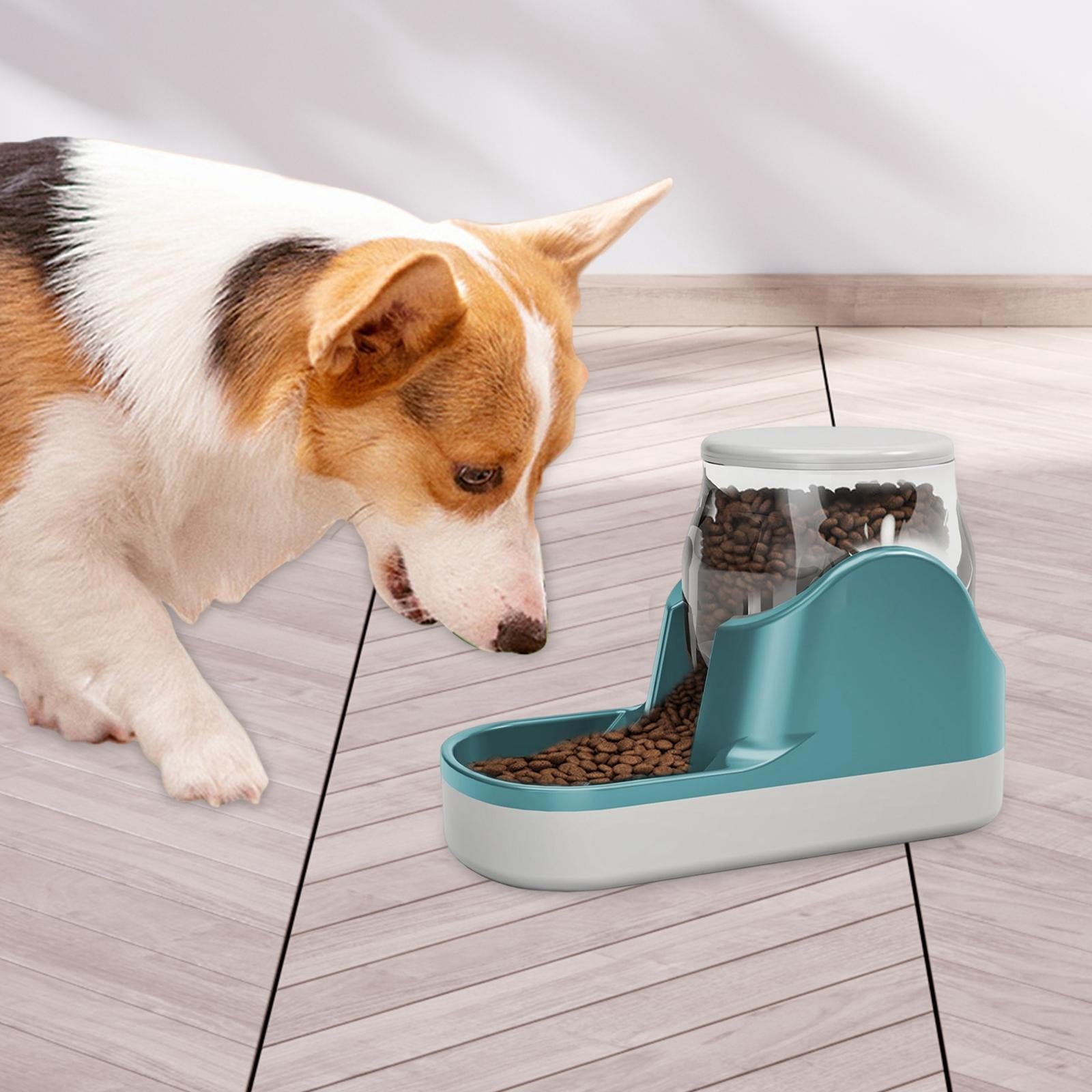 Bvdfgk 3.8L Pet Water Dispenser, Cat Dog Gravity Water Feeder, Automatic Water Bowl for Blue