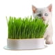 thumbnail image 5 of Pet Gat Grass Planter Hydroponic Cat Growing para Facilitar El Crecimiento () Amarillo, 5 of 9