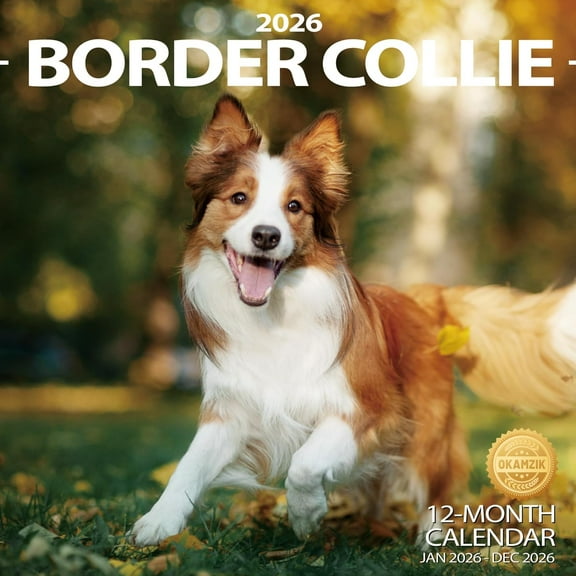 2026 Wall Calendar Border Collie Planner Calendar, Hangable Monthly Wall Calendar with Large Blocks for Organizing & Planning, Academic Schedule, Home, Office & family, Thick & Sturdy Paper (12"x24"