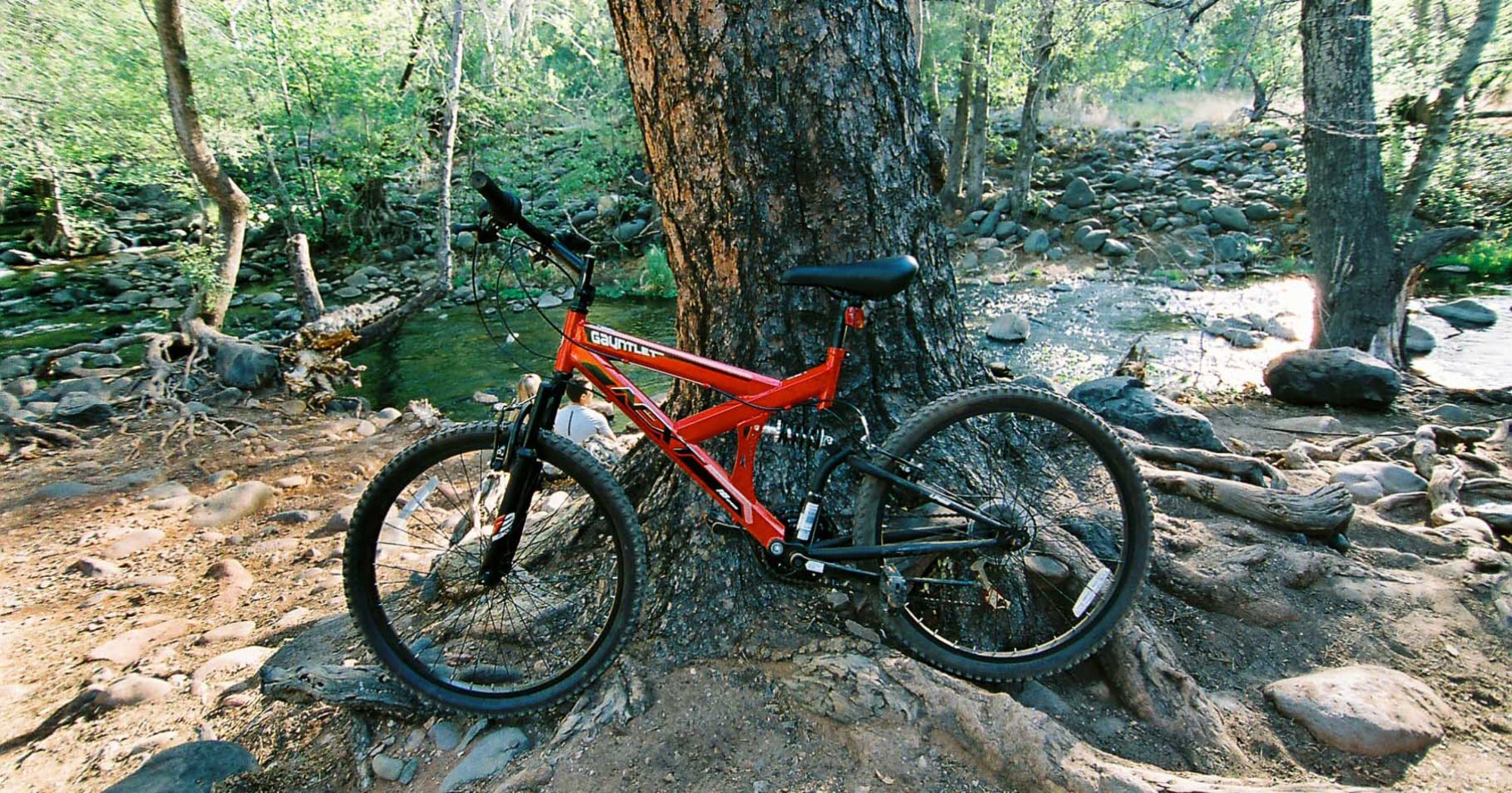 dynacraft gauntlet 24 mountain bike red